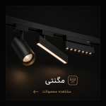 مگنتی